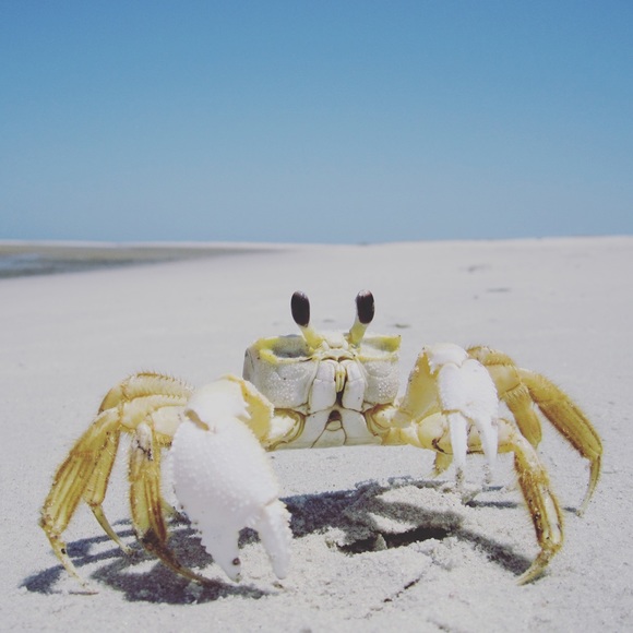 Meet your Posher, Kimberly - Picture 1 of 1